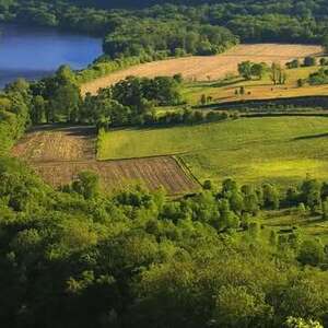 Chesapeake Conservation Partnership (CCP)